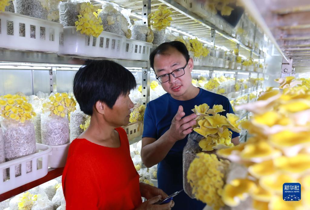 2018年最新白菜彩金